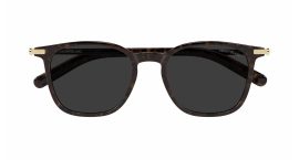 Montblanc - MB0460S - 3