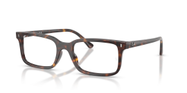 Rayban - RX5445 - 2012